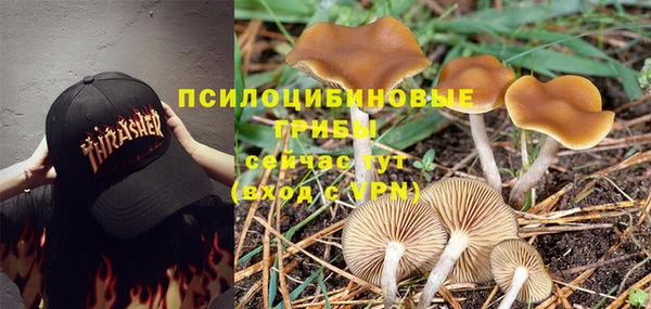 индика Арсеньев