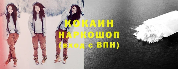 индика Арсеньев