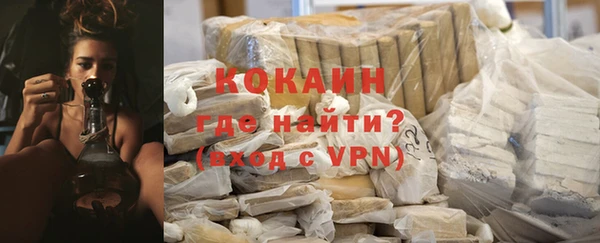 индика Арсеньев