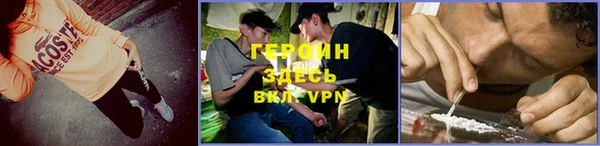 индика Арсеньев