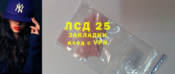 индика Арсеньев