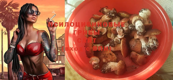 ешки Армянск