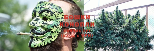 индика Арсеньев