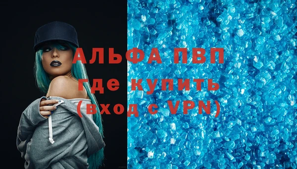 индика Арсеньев