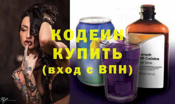 индика Арсеньев